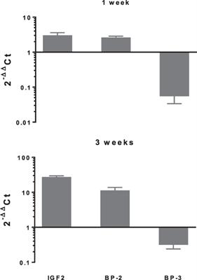 Insulin-Like Growth Factor Axis Expression in Dental Pulp Cells Derived From Carious Teeth